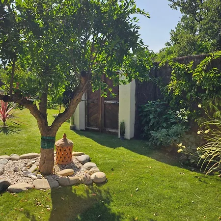 L Orangerie De Casaoma * Prunelli-di-Fiumorbo