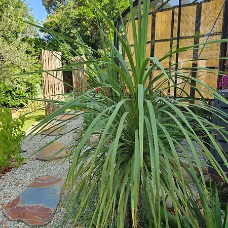 L Orangerie De Casaoma Prunelli-di-Fiumorbo