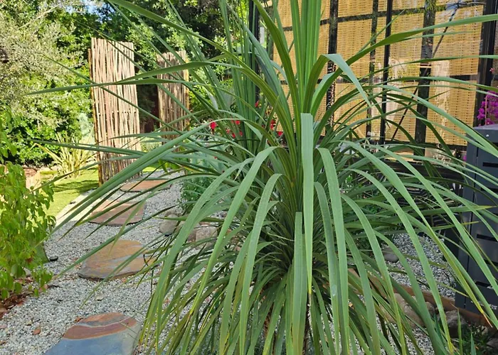 L Orangerie De Casaoma Prunelli-di-Fiumorbo