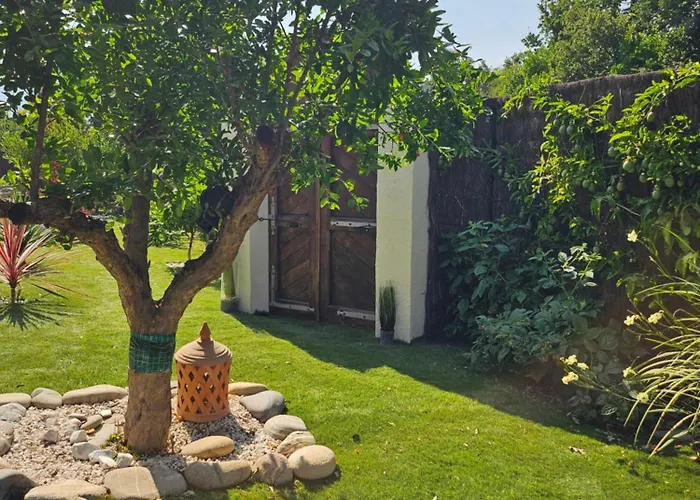 L Orangerie De Casaoma * Prunelli-di-Fiumorbo